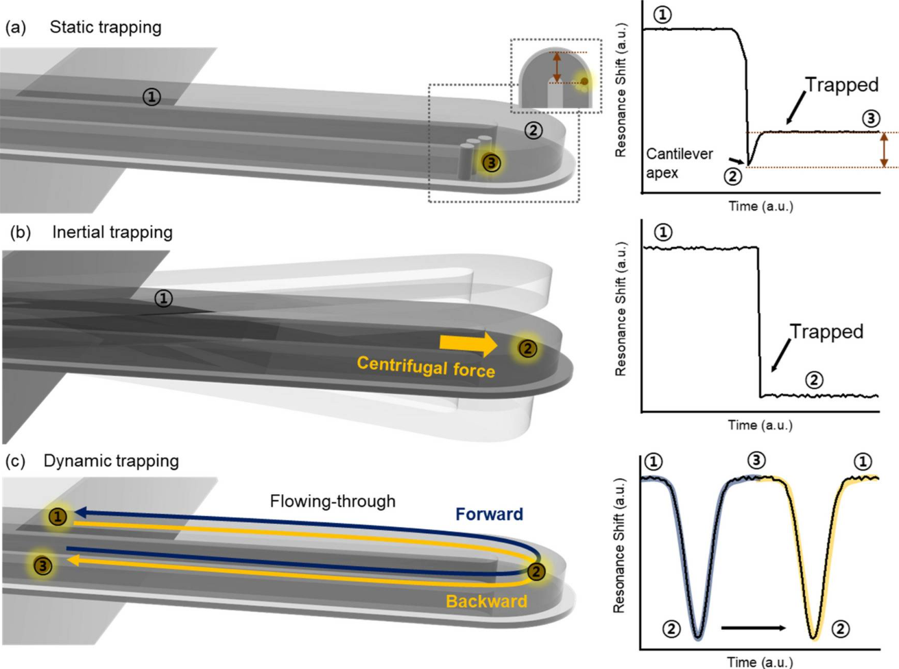 Biomedical Engineering Letters